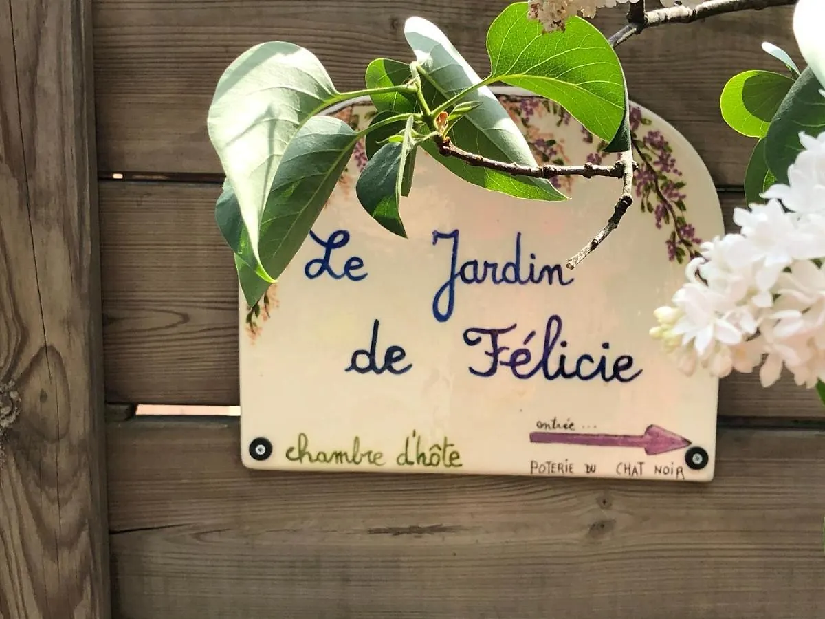 Le Jardin De Felicie Hotel Trévoux Gasthuis